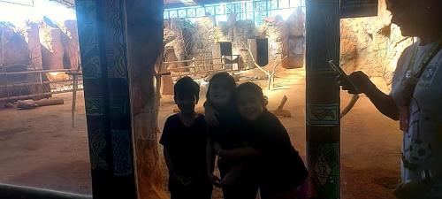 aquario (10)