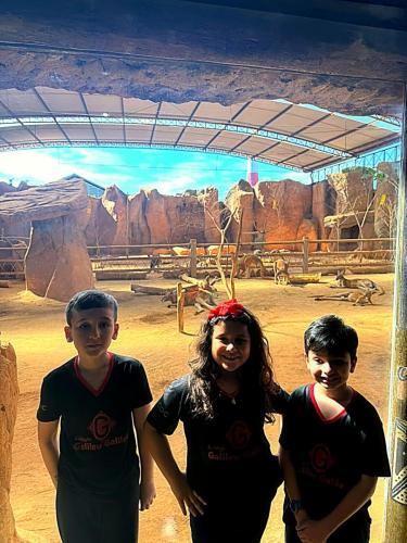 aquario (17)