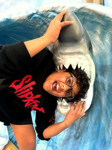 aquario (18)