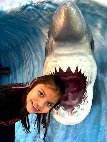 aquario (20)