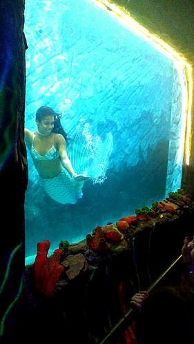 aquario (3)