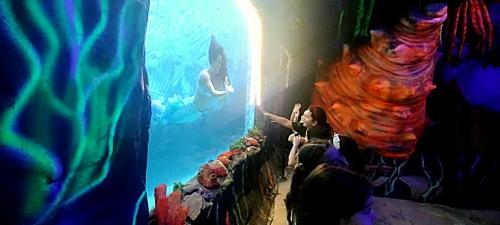 aquario (4)