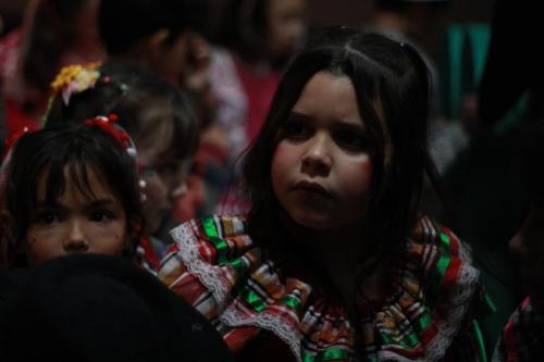 arraia galileu (97)